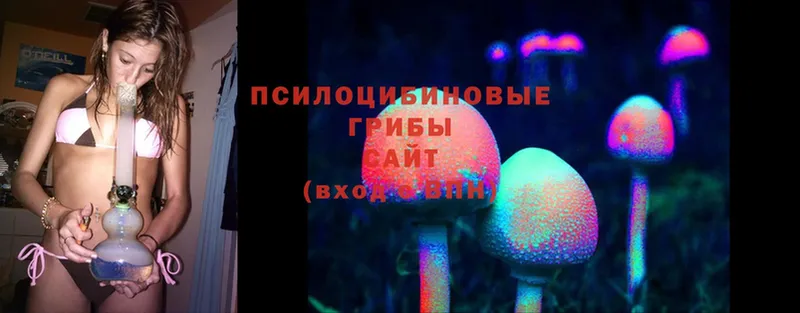 купить наркотик  Сарапул  Псилоцибиновые грибы MAGIC MUSHROOMS 